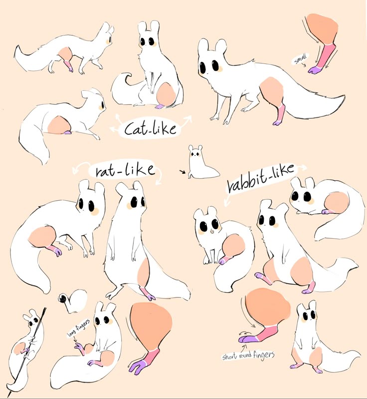 the image contains multiple sketches of cartoon animals with distinct ratlike, catlike, and rabbitlike features. the drawings explore different body shapes, poses, and physical characteristics such as tail length, paws, and finger variations. some sketches are labeled with descriptions like "catlike," "ratlike," and "rabbitlike" to indicate the specific animal resemblance. additionally, there are notes indicating finger length and general finger shape.