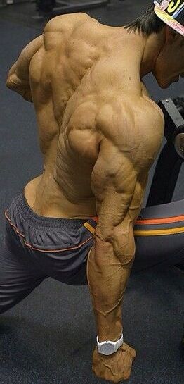 the image shows a muscular man in a gym setting. he is wearing workout clothes and a cap, positioned with his back to the camera, highlighting his extremely defined back and arm muscles. the perspective emphasizes his physique and the intensity of his workout. the lighting is artificial, likely from gym lights, creating shadows and highlighting his muscle definition.