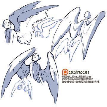 the image is a digital drawing tutorial showcasing various poses and anatomical structures of angel wings. it features several sketches of simplified figures with different wing positions and sizes.  the figures are minimalistic, focusing primarily on the wing designs which range from large and imposing to smaller, more delicate sets of wings. there are multiple examples to demonstrate variation in wing shape and how they might be positioned on a character's back.  the tutorial is credited to "kibb the kibbler" with a patreon logo and social media links.