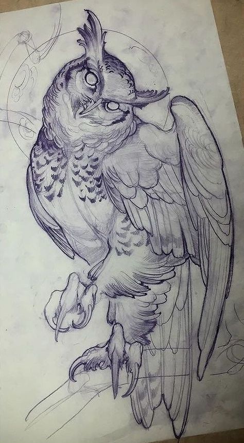 a detailed pencil sketch of an owl with large wings, sharp talons, and piercing eyes, set against a subtle moon backdrop. the drawing captures the intricate details of the owl's feathers and overall form.