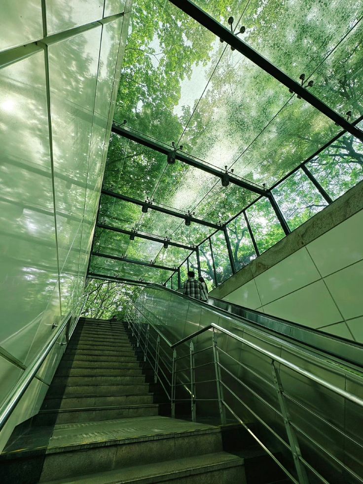 the image shows a modern architectural passageway with a glass roof that allows ample natural light and views of lush green trees.  a staircase and an escalator provide upward access, suggesting a pedestrian underpass or tunnel.  the metal railings and the glass ceiling contribute to a bright and airy atmosphere, even in the shadows.  a person can be seen in the distance on the escalator. the overall color palette is green, reflecting the abundant foliage outside.