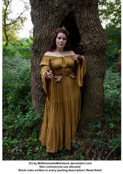 fullbody portrait of a woman, standing in a forest setting, beside a large tree. she is wearing a long, flowing goldenbrown maxi dress with a floral crown on her head. the dress is offtheshoulder with long sleeves and has a tiered design. she also wears a leafshaped belt. the background shows foliage typical of an autumnal forest. the image is welllit and the woman's expression is serious and calm. the overall mood is mystical and natureinspired. the image is a stock photo available for noncommercial use.