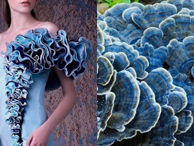 the image is a split image. the left side of the image is a woman wearing a blue dress with large ruffles. the right side of the image is a close up of blue mushrooms. the image is a beautiful and creative way to show the connection between fashion and nature.
