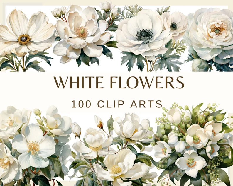 a collection of white flowers clip arts with the text "white flowers 100 clip arts" in the middle.