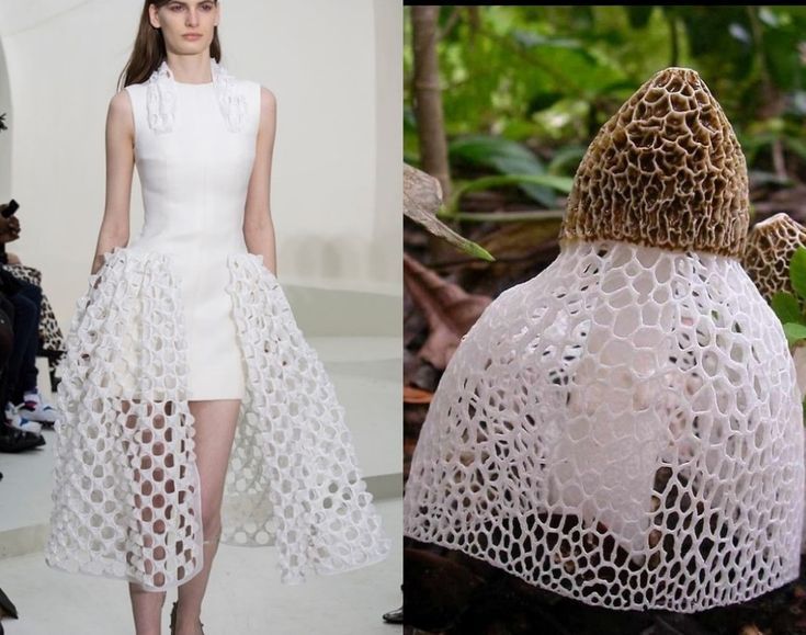 the image shows a sidebyside comparison of two different things that share a striking resemblance. on the left side, a fashion model is wearing a white dress with an intricate lace overlay. the dress features a short, fitted bodice and a flowing skirt that extends to the floor. the lace pattern creates a delicate and ethereal effect, reminiscent of a delicate web. on the right side, there is a photograph of a unique mushroom with a white, lacelike structure resembling the dress. the mushroom has a brown top and a white, netlike veil that covers the bottom. this comparison highlights the fascinating connection between nature and fashion, illustrating how natural forms can inspire the creative process.