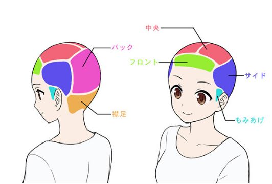 the image shows a diagram of an animestyle female character's head, illustrating different sections of the hair. there are two views: a side view on the left and a front view on the right. the sections of the hair are colorcoded and labeled with japanese text. labels include words indicating the back, front, center, side, nape, and area in front of the ear, providing a visual guide for hair sectioning. the diagram appears to be a tutorial or explanation of hair anatomy for drawing or styling purposes.