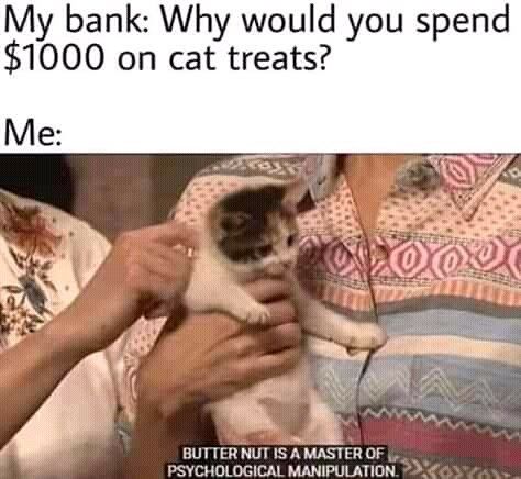 this image is a meme format that features a cat looking at the camera. the top part of the meme says, "my bank: why would you spend $1000 on cat treats?" and the bottom part says "me:" with the picture of the cute cat looking up. it is a funny meme about how people will spend lots of money on their pets. the person in the meme is holding the cat in their arms and it's looking up at the person with big, innocent eyes.  this is a common format for memes and is typically used to express the frustration of people who don't understand why others would spend so much money on their pets.