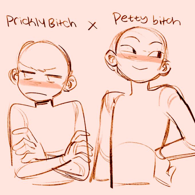 the image is a handdrawn illustration of two female cartoon characters, one labeled "prickly bitch" and the other "petty bitch." the prickly bitch character is depicted with crossed arms and a scowl on her face, while the petty bitch character is drawn with a sly smirk and a hand on her hip. both characters are drawn in a simplistic style with minimal detail, and their poses are exaggerated to emphasize their contrasting personalities. the image is set against a light pink background, with the text labels superimposed over the characters in a black font. the overall tone of the image is playful and slightly satirical, with a hint of humor in the exaggerated expressions and labels.