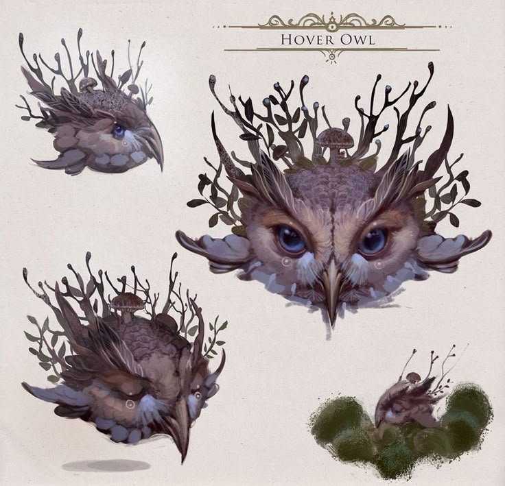 the image features a concept art illustration of a "hover owl." there are four depictions of the owl head in different poses and angles. the central and most prominent image shows the owl's face headon, featuring detailed blue eyes and a sharp beak. growing out of its head are various branches, twigs, and leaves, and a small mushroom sits atop its head. the other owl heads are variations of the same design, presented from side views and a lower angle, one is surrounded by shrubbery. the name "hover owl" is centered at the top with decorative flourishes above and below.