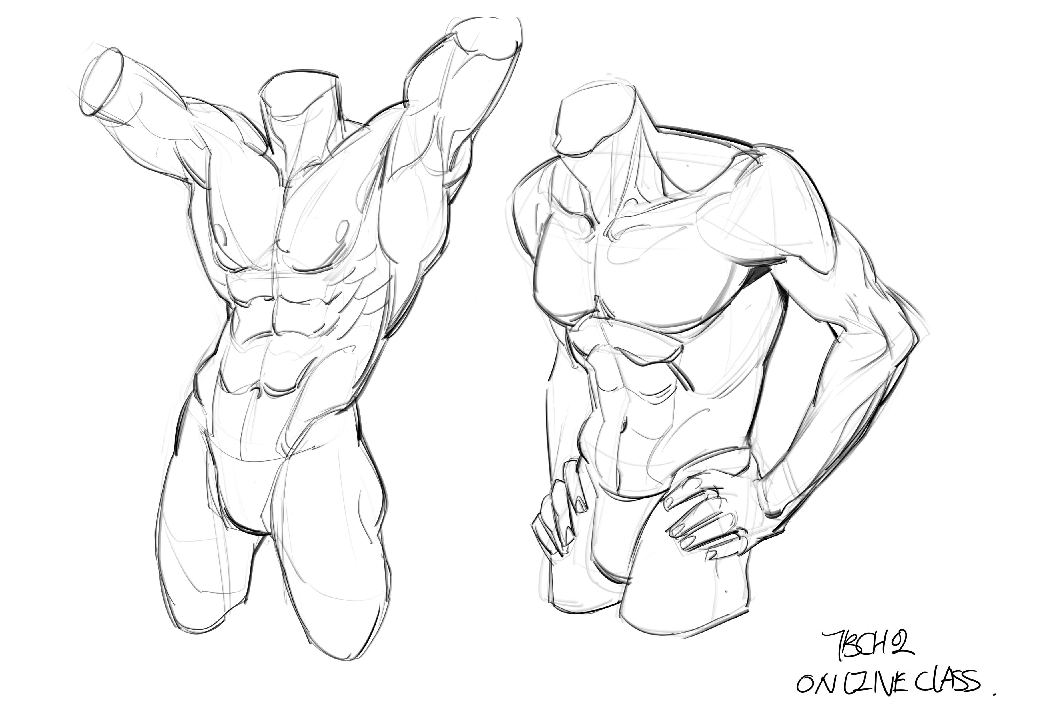 the image contains two pencil sketches of headless male torsos.  the sketches are dynamic, showing different poses and viewpoints. the left torso is presented with arms raised, while the right torso is depicted in a more relaxed stance with hands resting near the hips. both sketches illustrate detailed musculature, highlighting the anatomy of the abdominal and pectoral regions. the style is loose and expressive, typical of gesture drawings used to practice anatomy and figure drawing.  a signature or watermark "tbch02 online class" is present in the bottom right corner, suggesting the sketches were created as part of an online art class.