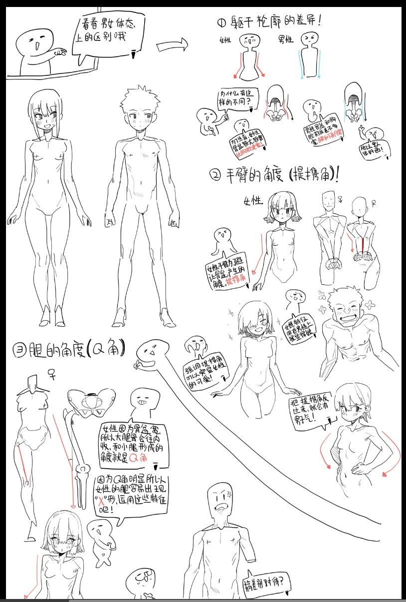 the image is a handdrawn guide on human anatomy and figure drawing, specifically focusing on differentiating male and female body types in an anime or manga style. it covers various aspects of anatomy, including the trunk shape, arm angles, and leg angles (q angle). the tutorial includes diagrams and illustrations to explain the differences in bone structure and body proportions between males and females, with additional notes and commentary in chinese. the overall purpose is to provide an instructional resource for artists looking to improve their understanding and depiction of human anatomy in their drawings.