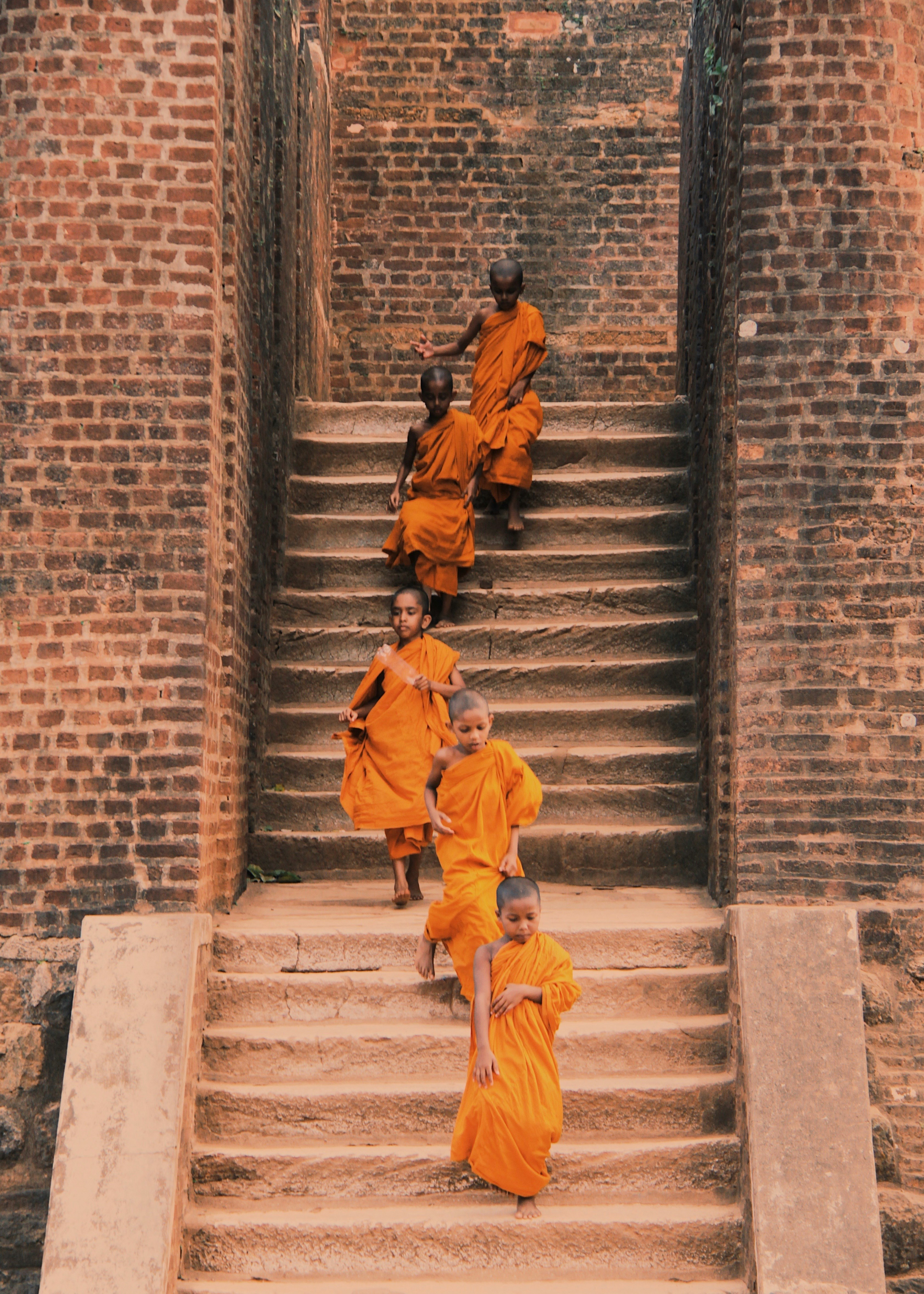 five young buddhist monks in orange robes are captured playfully running down a weathered stone staircase. the steps are framed by aged brick walls, hinting at the ancient and spiritual atmosphere of a temple setting. the monks, each a burst of vibrant orange, bring a sense of joy and life to the serene surroundings.