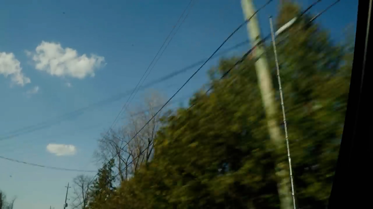 this is an image taken from inside of a moving car. you can see the trees and street lights along the road, as well as the blue sky and white clouds above. the image has a motion blur effect.