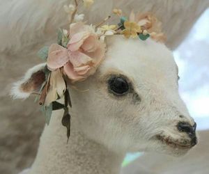 the image shows a closeup of a lamb wearing a delicate flower crown. the crown is made up of flowers in pale pinks, yellows, and greens, and the lamb has soft white fur. the overall tone of the image is gentle and innocent.