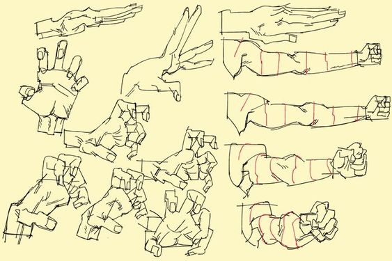 this is a drawing of various human hands and arms in different poses. the drawing is done in black and white line art and shows the anatomical structure of the hand and arm. the different poses include fists, open hands, and various hand gestures. the drawing is likely part of an anatomy study or guide for artists.