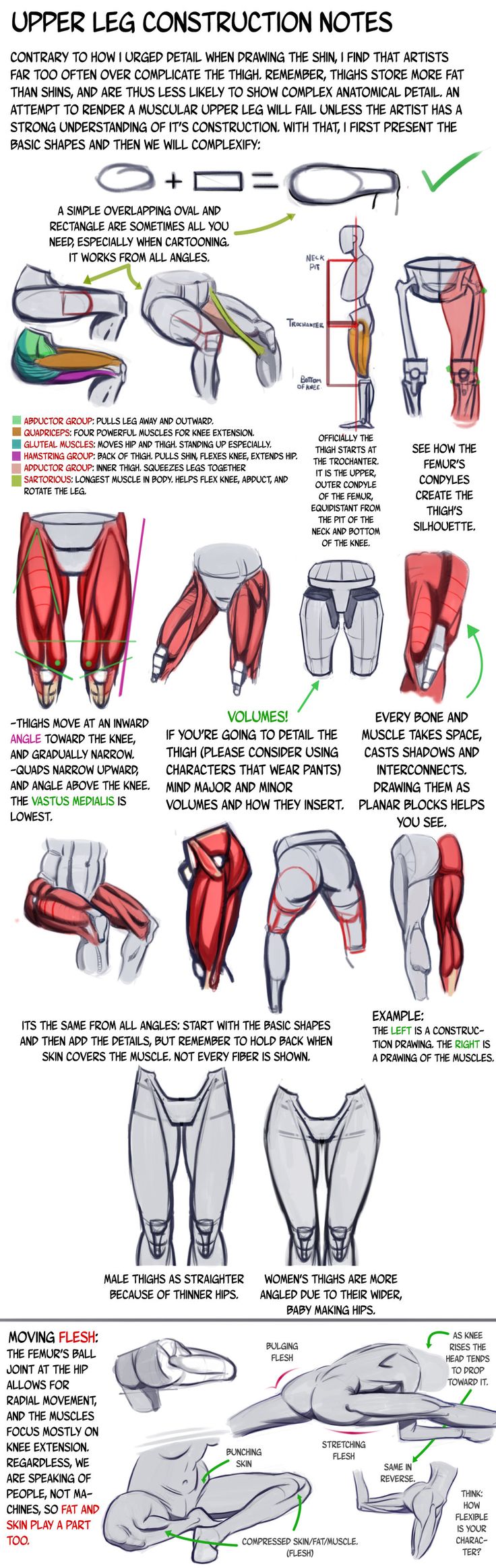 the image is an instructional diagram and accompanying notes about how to draw the upper legs. it breaks down the anatomy of the thighs into simple shapes and shows how to use those shapes to create a realistic drawing. the diagram also includes notes on how the muscles move and how to shade them to create a sense of depth and volume.