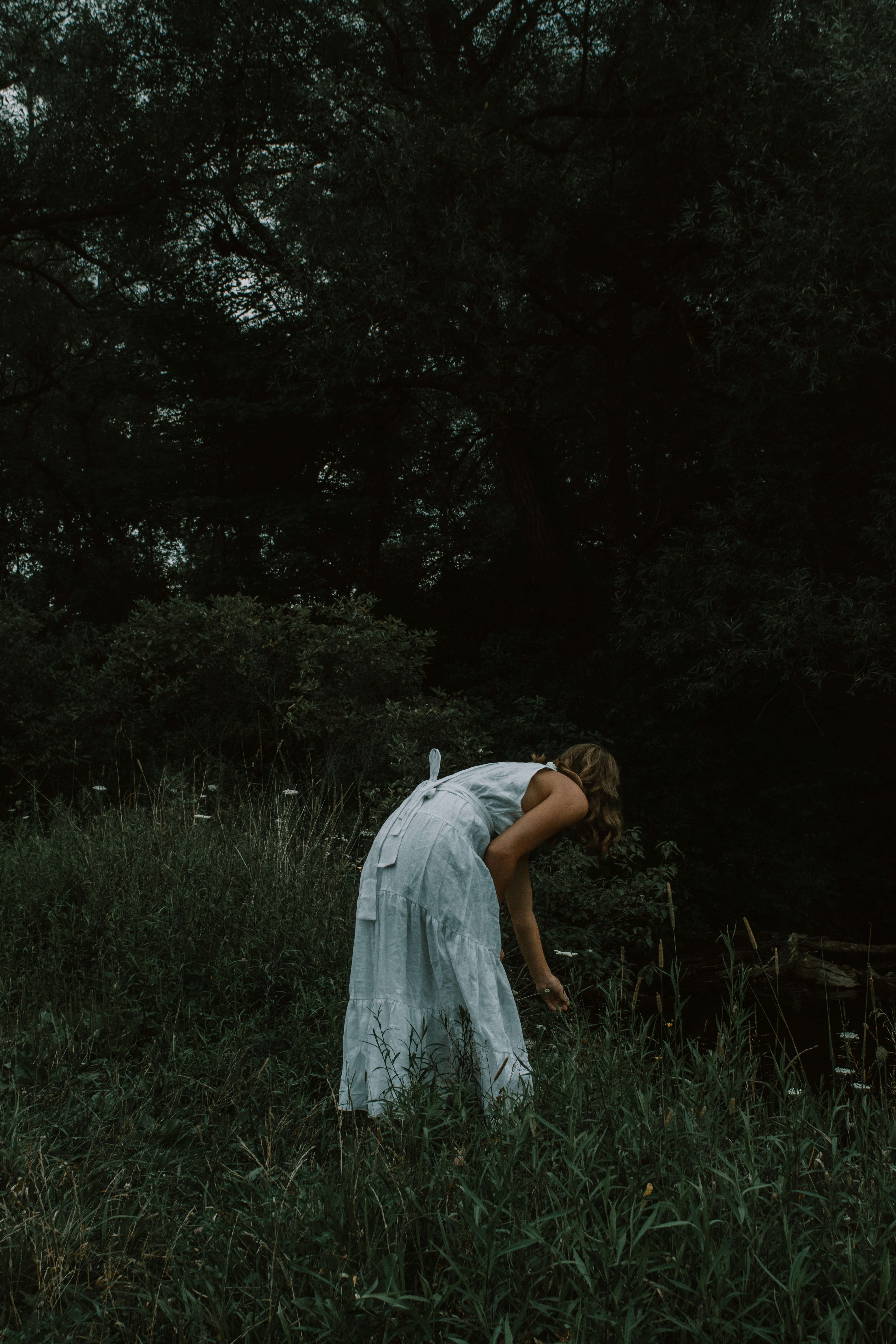 a woman in a long white dress bends over slightly, touching some plants by a body of water. the scene is set in a dark and moody forest clearing, with tall grass and lush foliage surrounding her. the lighting is dim and natural, lending a sense of mystery and tranquility to the image.
