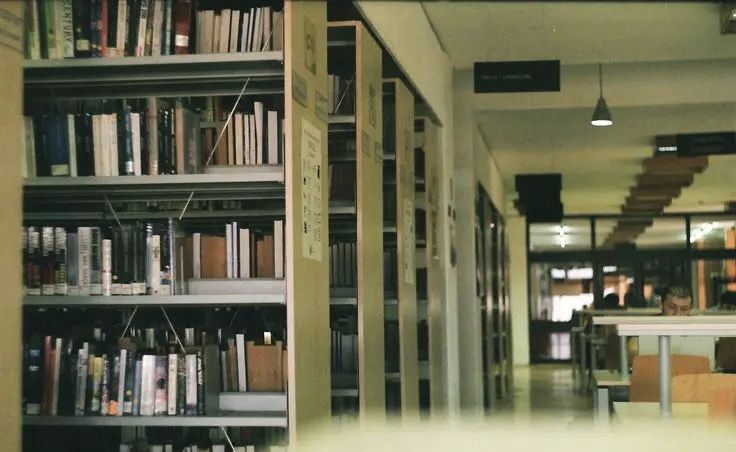 the image shows a long hallway in a library.  the focus is on the bookshelves lining the walls, which are filled with numerous books. the shelves are tall and extend the length of the hallway, creating a sense of depth. the hallway is relatively empty, with a few blurred figures visible in the distance at study tables. the overall atmosphere is quiet and studious, suggesting a place of learning and contemplation. the image has a slightly vintage or filmlike quality to it.