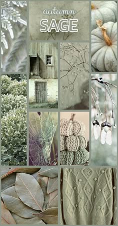 a collage of images showcasing the colors and textures of autumn. images include fall foliage, knitted fabric, weathered wood, pumpkins, leaves, and branches in shades of green, brown, and white.  the title "autumn sage" is printed at the top.  the images are arranged in a grid pattern.