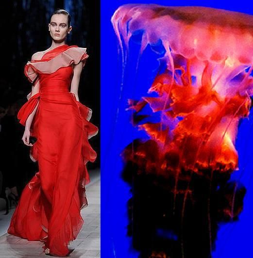 a model wearing a red dress with ruffles walks the runway, while on the right side of the image, an underwater jellyfish swims through blue water. the jellyfish is brightly colored with shades of pink, red, and purple, and it has long tentacles that trail behind it. the image is a juxtaposition of fashion and nature, and it creates a sense of beauty and wonder.