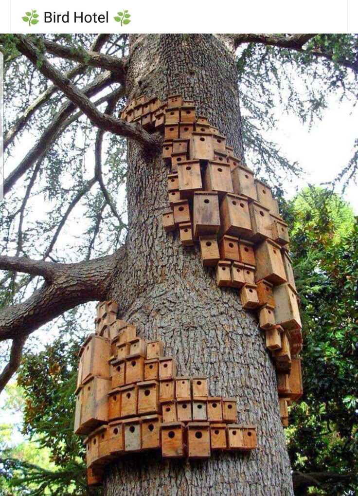 the image shows a large tree trunk covered in numerous wooden birdhouses of various sizes. the birdhouses are stacked on top of each other, creating a multilevel structure that resembles a "bird hotel". the tree is surrounded by green foliage, suggesting it is located in a natural setting.