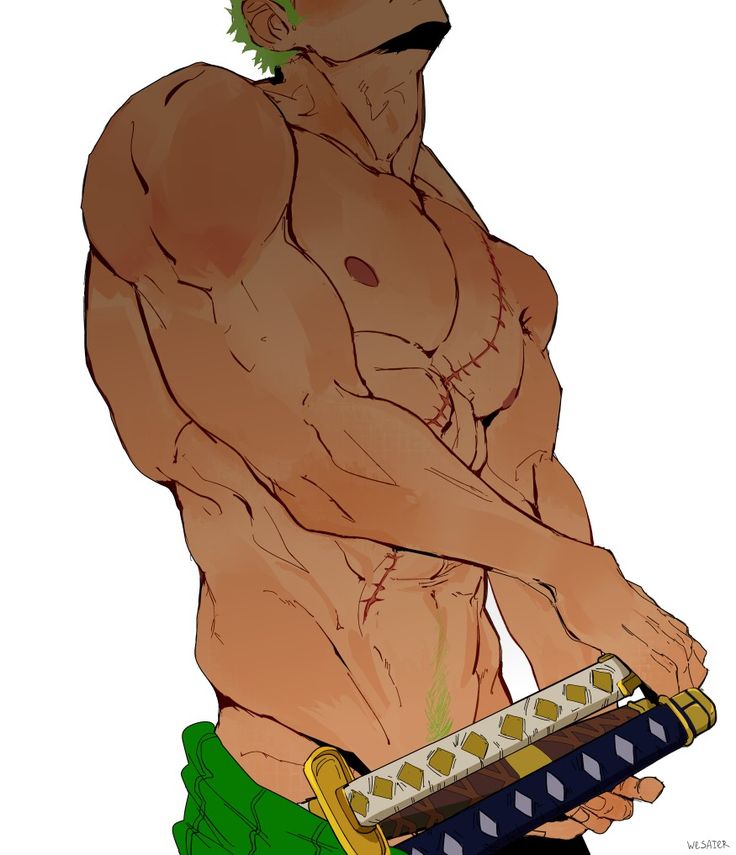 the image is fanart depicting roronoa zoro from the anime and manga one piece. it showcases a closeup view of his muscular, partially exposed torso, highlighting his prominent abs and scars. he's holding one of his katanas, seemingly the wado ichimonji,  near his lower abdomen.  the art style is detailed, focusing on anatomical accuracy and a slightly stylized, almost painterly, approach to shading and coloring. the overall tone is suggestive, bordering on explicit due to the level of nudity.  the artwork is clearly fanmade and is sexually suggestive.