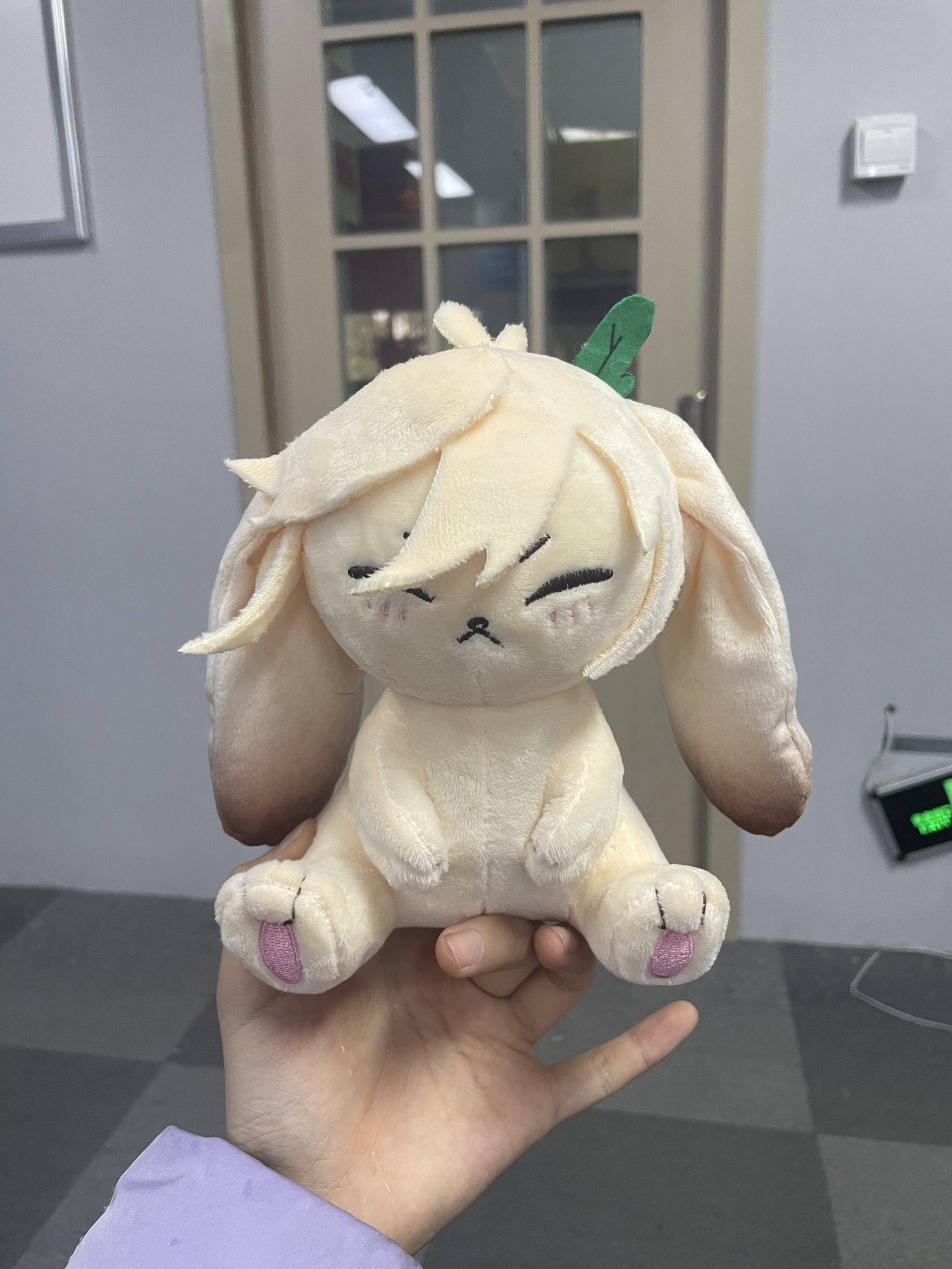 a plush toy of a white rabbit with brown ears and a green leaf on its head is being held by a hand. the rabbit has a cute and innocent expression on its face with pink details on its nose and paws. the background is blurry and consists of a door and a wall.