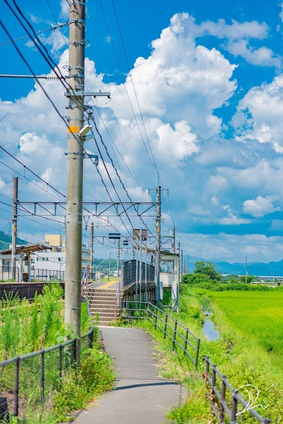a pathway leads to a train station under a blue sky filled with white clouds. a utility pole stands to the left of the pathway, with power lines extending across the scene. a metal fence runs along both sides of the pathway. to the right of the path is a green rice field. the train station includes stairs and a small building.