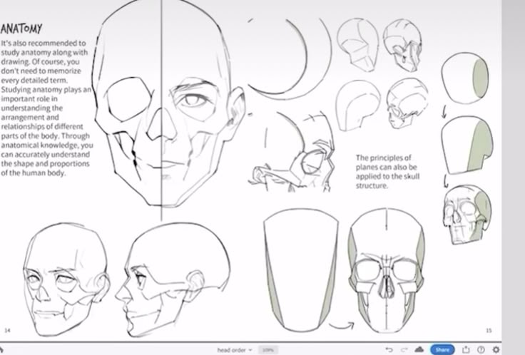 he image is a page from an art instruction book or tutorial focusing on anatomical drawing. the page features various drawings illustrating the human skull and head from different angles and perspectives.  it shows simplified plane constructions to guide the drawing process,  and includes both skeletal and musculature references for accurate representation.  text on the page emphasizes the importance of understanding anatomy for realistic figure drawing, and explains how basic geometric shapes can help to construct the skull. the overall style is clean and instructional.