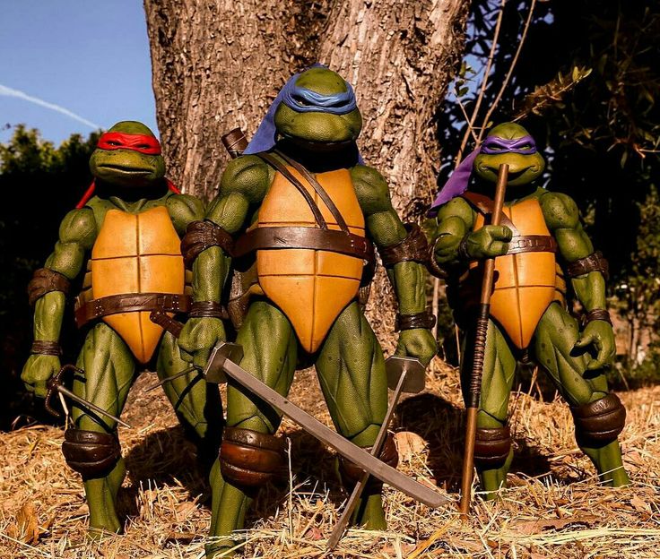 the teenage mutant ninja turtles (tmnt) action figures  are standing in a forest setting. they are  posing in their fighting stances, each with their signature weapons. the turtles are all green with orange  shells and brown armor.   the turtle in the center is leonardo,  who is wielding his katana swords.  to his left is michelangelo, who is holding his nunchakus. to leonardo's right is donatello who is holding his bo staff.  the turtle on the far right, rapheal, is holding his sai.  the figures are posed in a dynamic way,  creating a sense of action and excitement.