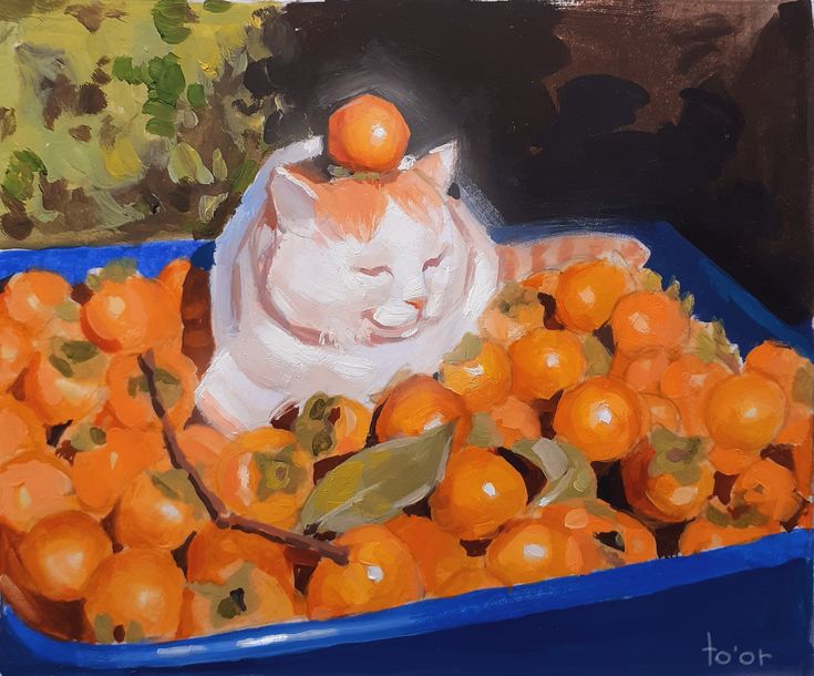 a white cat with orange patches is sleeping on top of a blue bowl full of persimmons. the cat has an orange persimmon on its head. there is a green plant in the background.  the cat is sleeping with its eyes closed.