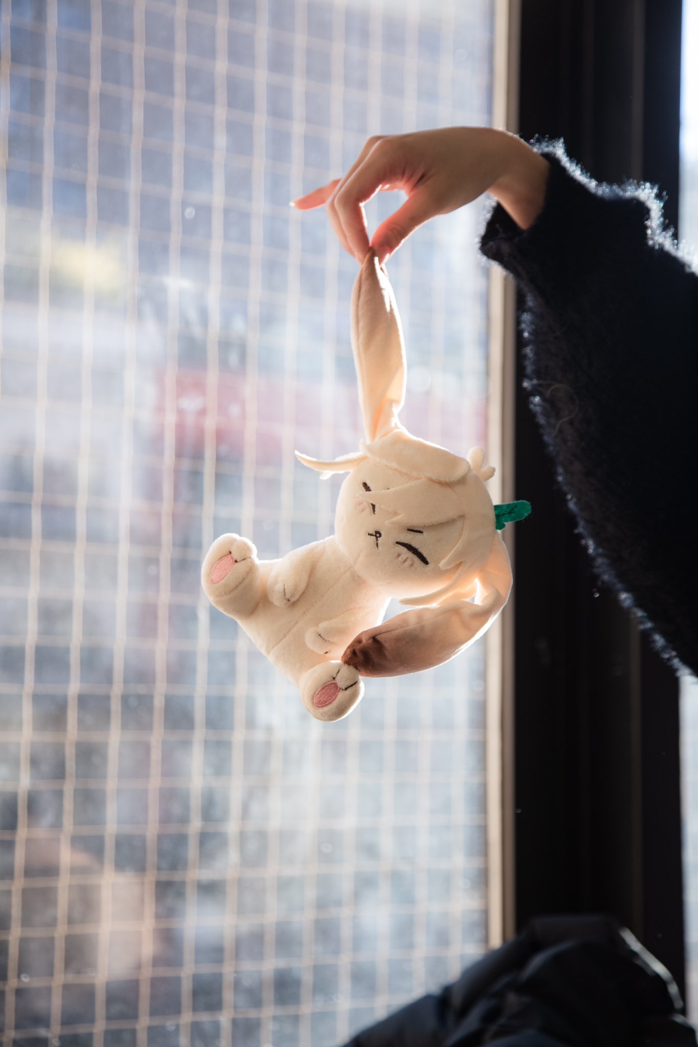 a person's hand reaches through a window, holding up a soft, white, plush toy bunny. the bunny is dangling with its legs in the air, with a cute expression on its face. the window is blurry, creating a soft, ethereal background.  the photo captures a playful moment of childhood joy.