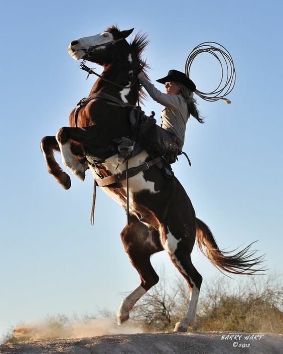a cowgirl is riding a horse, which is rearing up on its hind legs. she's wearing a cowboy hat, chaps, and holding a lasso. the scene is outdoors in a desert or arid landscape, with sparse vegetation in the background and the horse is kicking up dust. the sky is clear and blue. the image captures a moment of skill, power, and connection between the rider and the horse.