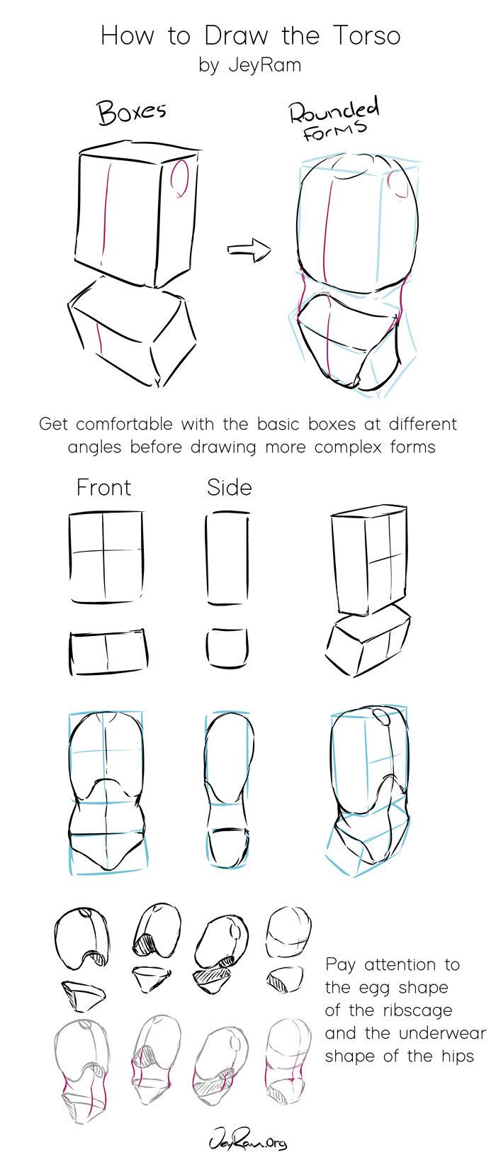 this is a guide on how to draw a torso. the first step is to use boxes to create a basic structure of the torso. then, you can use rounded forms to create a more realistic shape. the guide also shows how to draw the different parts of the torso, such as the ribcage, hips and waist.