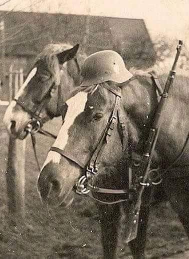 a black and white vintage photo of a horse with a soldier wearing a helmet, holding a rifle, possibly during wwi or wwii. the horse and soldier are close together, with the horse's head resting on the soldier's shoulder.