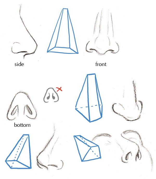 the image shows a series of sketches illustrating how to draw a nose from different angles (side, front, bottom) using a simplified pyramid shape as a base. there are also some detailed drawings of noses to show the anatomy. one view shows an example of an incorrect drawing of the nostrils. the image appears to be a tutorial or guide for artists.