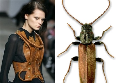 a woman wearing a brown leather outfit, a design reminiscent of the segmented exoskeleton of a beetle, standing beside a closeup image of a beetle.