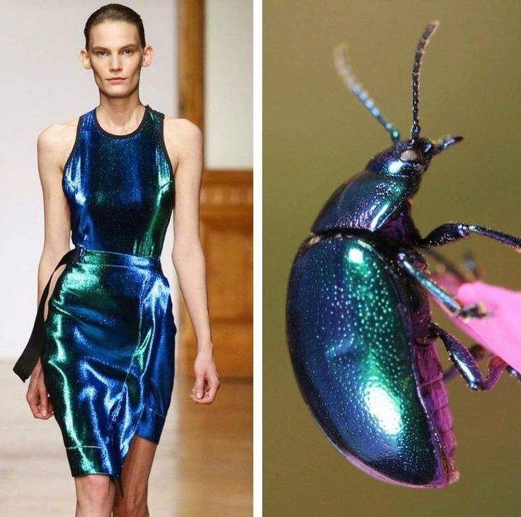 this image is a split image of a woman wearing a metallic blue and green dress and a closeup image of a metallic blue and green beetle.  the woman's dress is incredibly iridescent, reflecting light similar to the beetle. it seems like the designer was inspired by nature for this collection.  the image suggests a theme of beauty in nature and the use of natural inspiration in fashion.