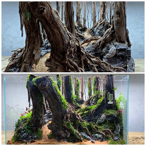 the image is a beforeandafter shot showcasing the creation of an aquascaped planted tank or paludarium.  the top half shows the hardscape elements (driftwood, rocks, and smaller branches) before the addition of plants. the bottom half displays the completed aquascape after the addition of various types of moss and aquatic plants, transforming the dry hardscape into a lush, underwater forest scene. the overall style is a nature aquarium, emphasizing natural forms and textures.  the beforeandafter comparison highlights the transformation of a bare structure into a thriving, realistic miniature ecosystem.