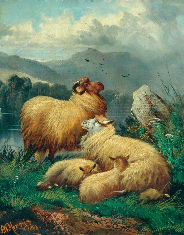 the painting depicts a tranquil pastoral scene. three sheep – a ram with large horns, an ewe, and two lambs – are resting in lush green grass near a body of water. the backdrop features a serene landscape with rolling mountains under a slightly cloudy sky. a few birds are visible in the sky. the style of the painting is realistic, focusing on the details of the sheep's wool and the natural environment. the artist's signature, "a.c. morris 1888", is visible in the bottom left corner. the overall mood is peaceful and idyllic.