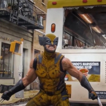 collection cover image for Wolverine, bub!