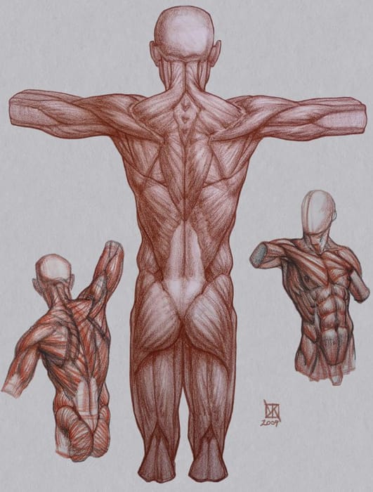 collection cover image for Back