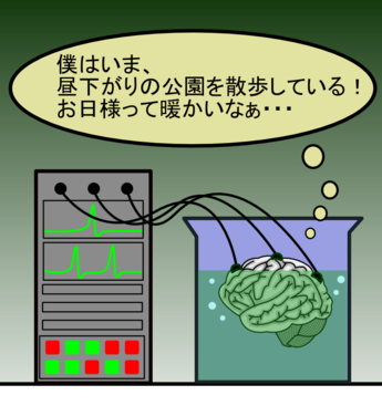 水槽の脳