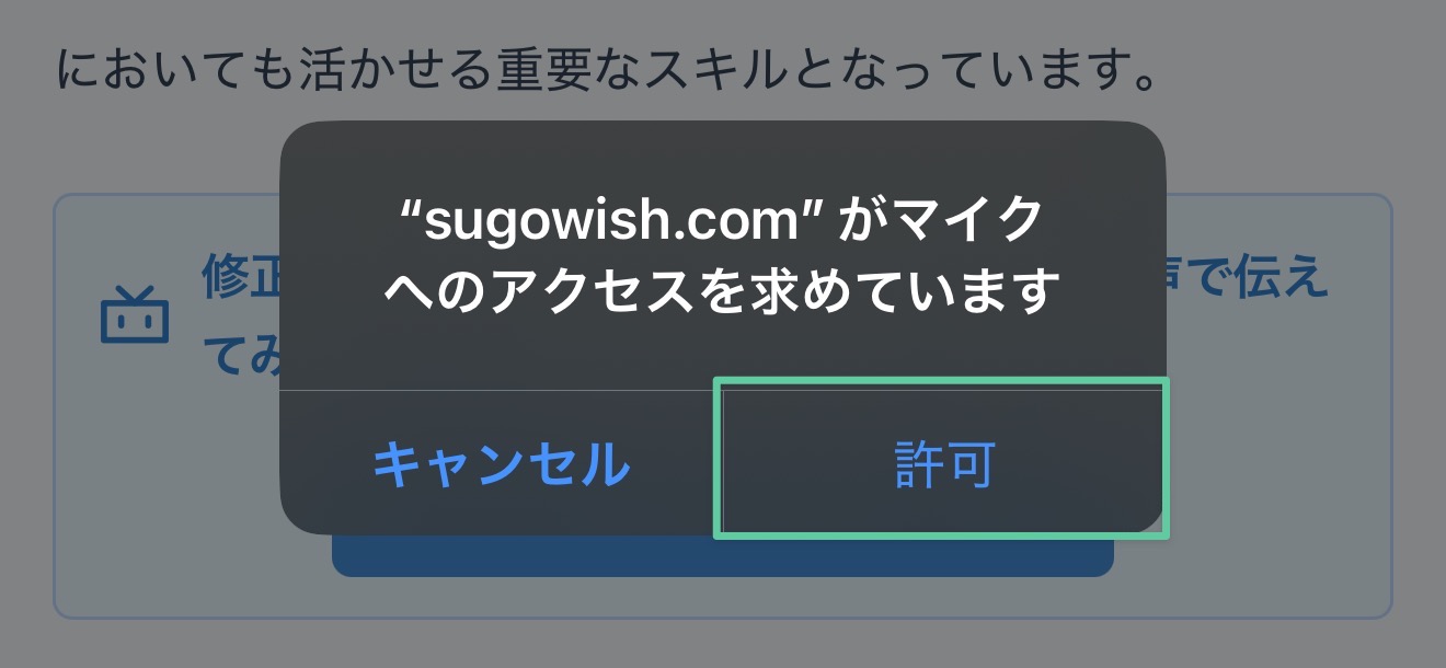 iphone-mic-permission-confirm.jpeg