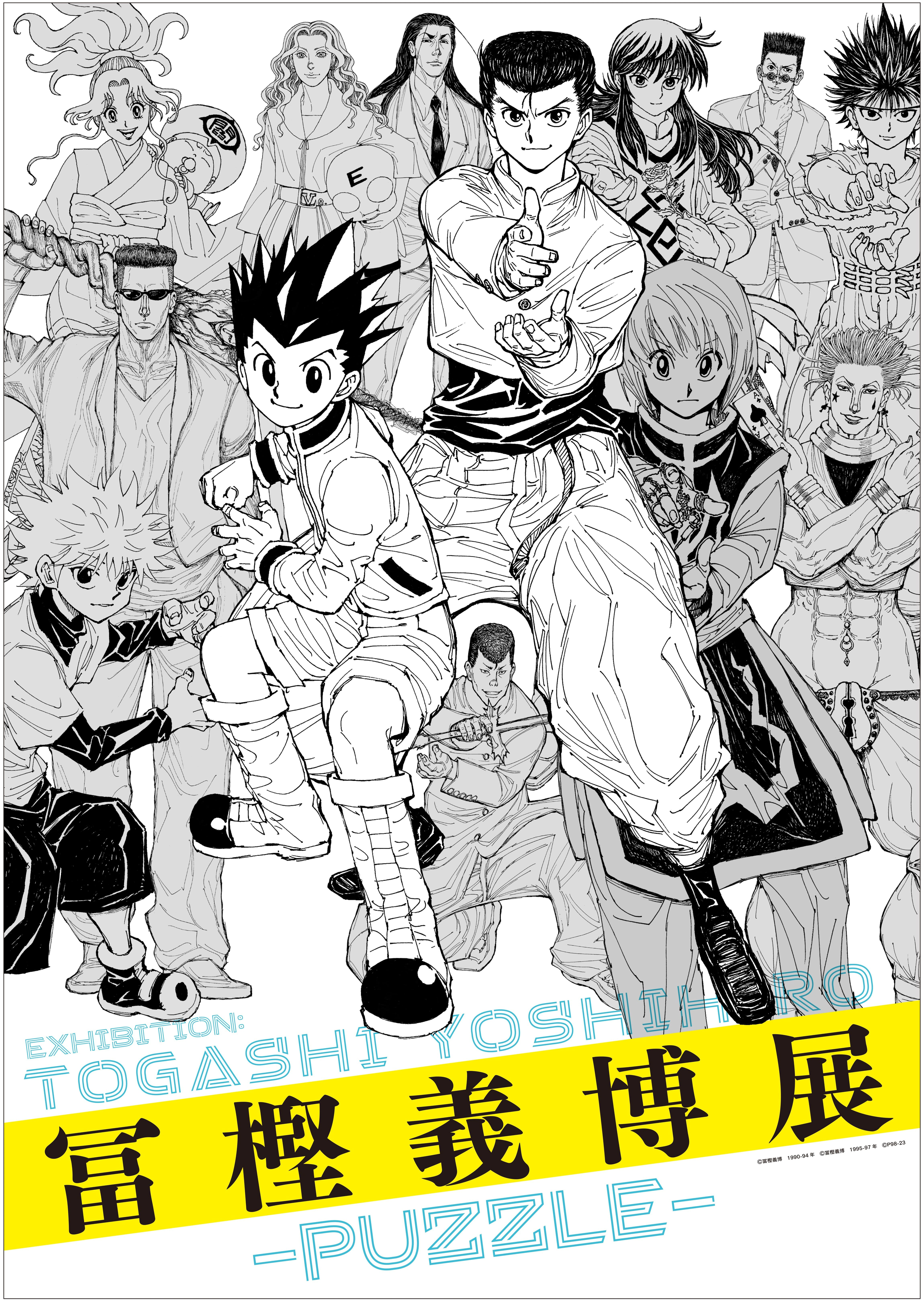 Hunter x Hunter Manga Series