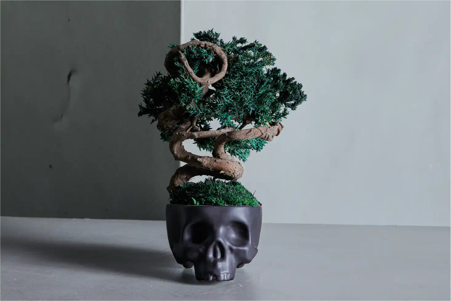 日本伝統の盆栽がアートに進化！「RE BONSAI」 メンテナンス不要の新