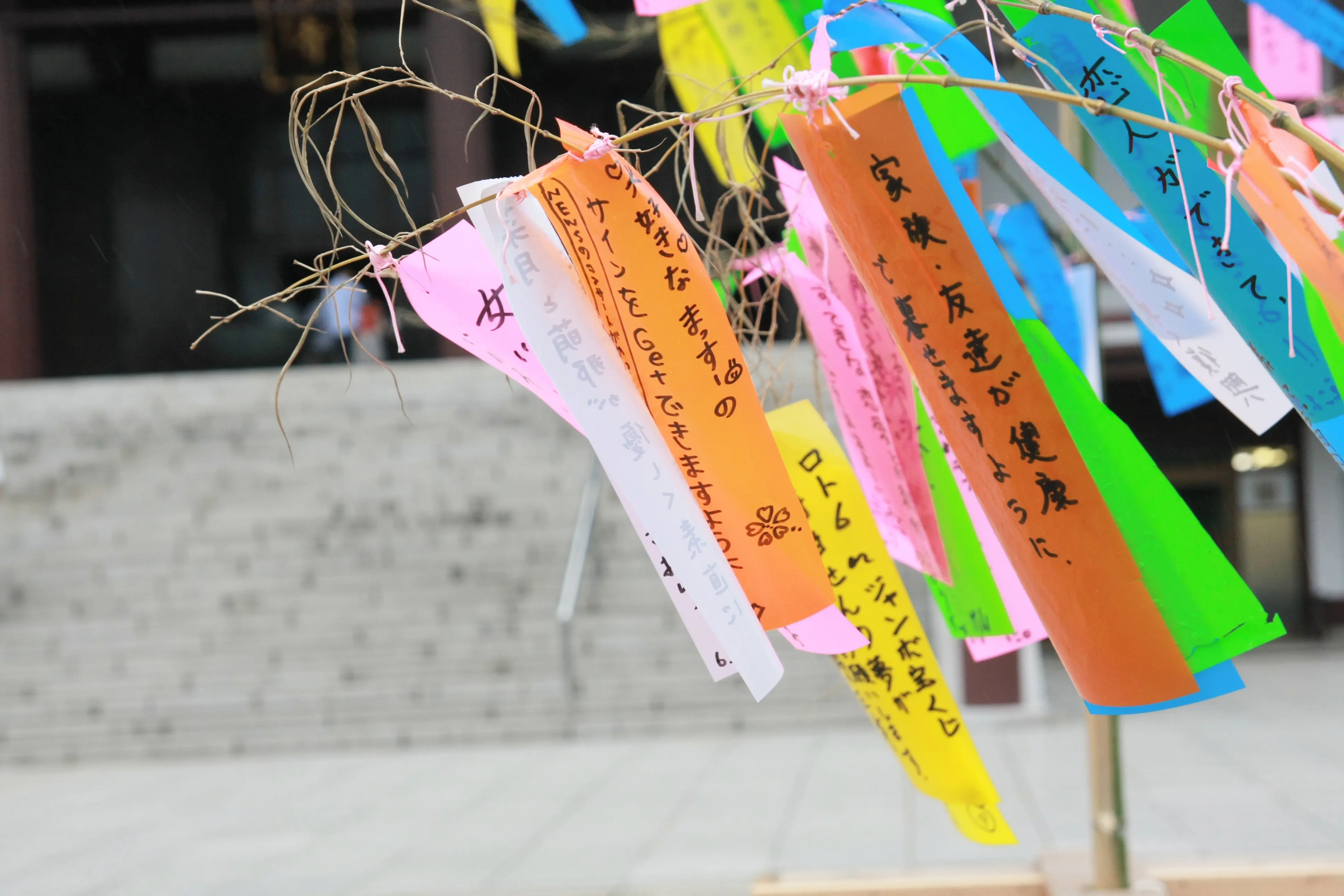 思绪万千忆“重逢”，体验夏日风物诗之一七夕| Fa-So-La AKIHABARA官方网站