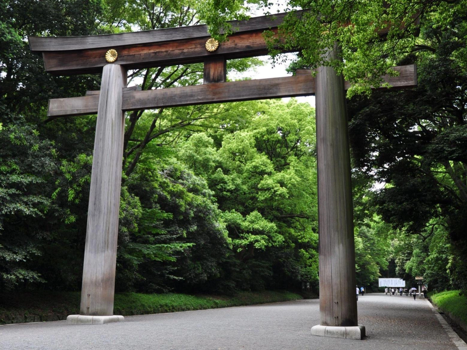 在东京市中心的明治神宫，感受大自然的丰富多彩。 | Fa-So-La