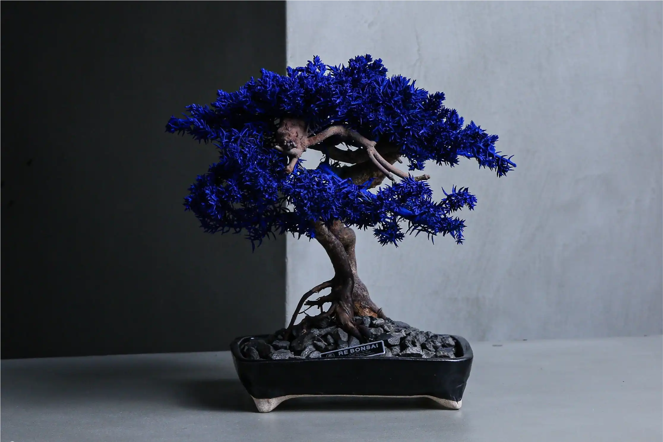 日本伝統の盆栽がアートに進化！「RE BONSAI」 メンテナンス不要の新