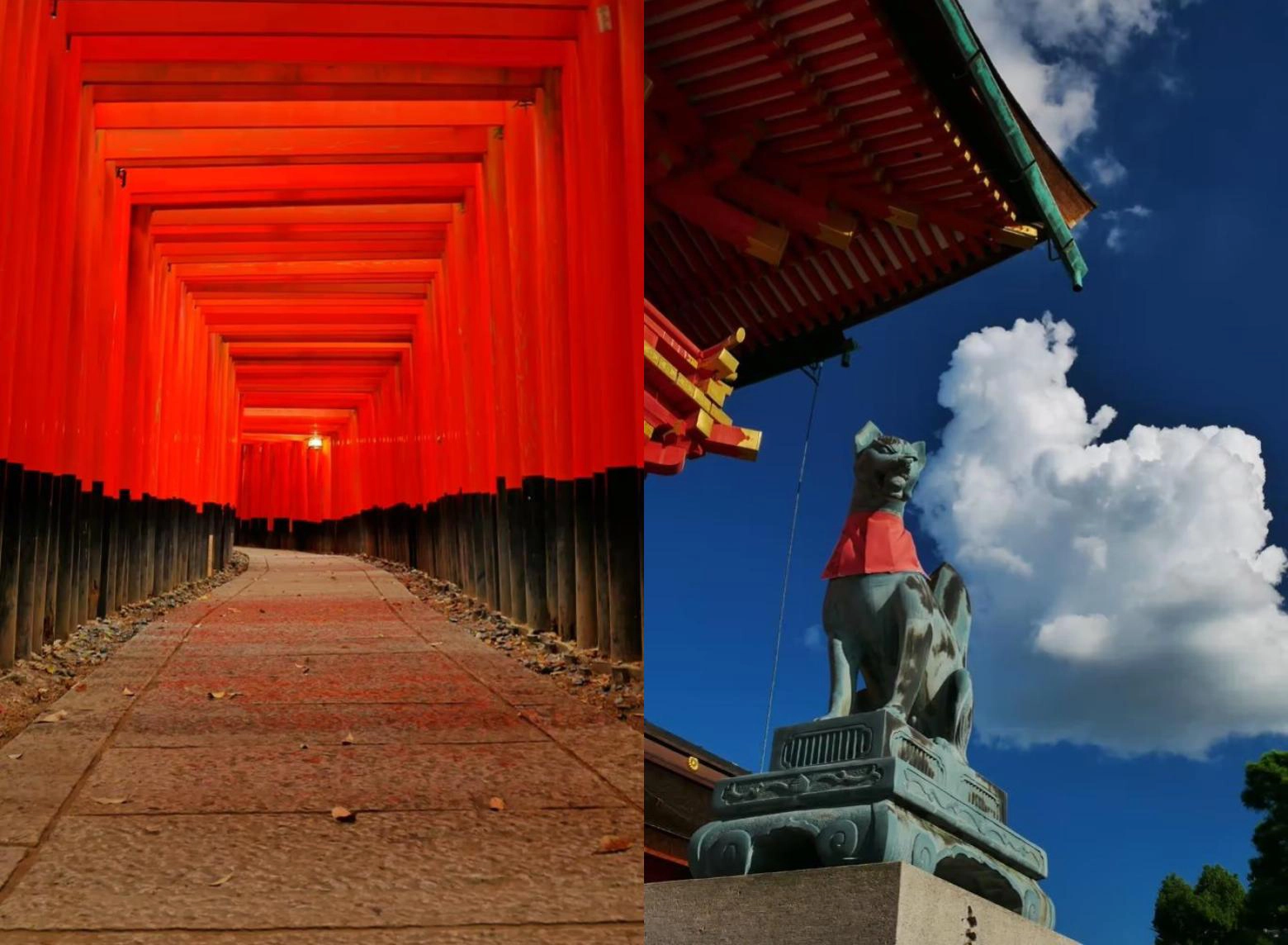 5-best-michelin-star-restaurants-in-kyoto-japan-travel-guide-jw-web